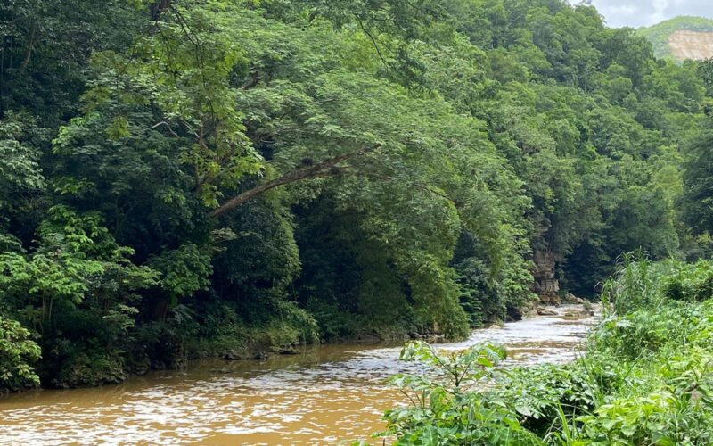 Police probe suspected drowning of 11-year-old in the Rio Cobre