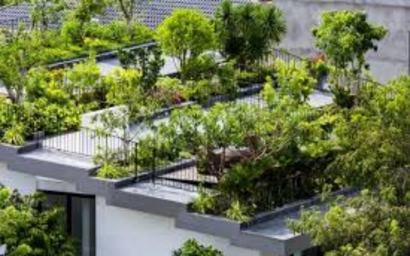 Senator Longmore calls on citizens to embrace rooftop gardens to fight climate change