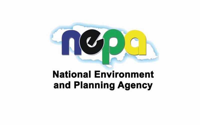 NEPA says recent fish kill in Harbour Head Area in Kingston was due to a lack of oxygen in the water