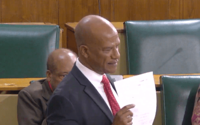 Opposition Senator Peter Bunting accuses gov’t of normalizing bad governance