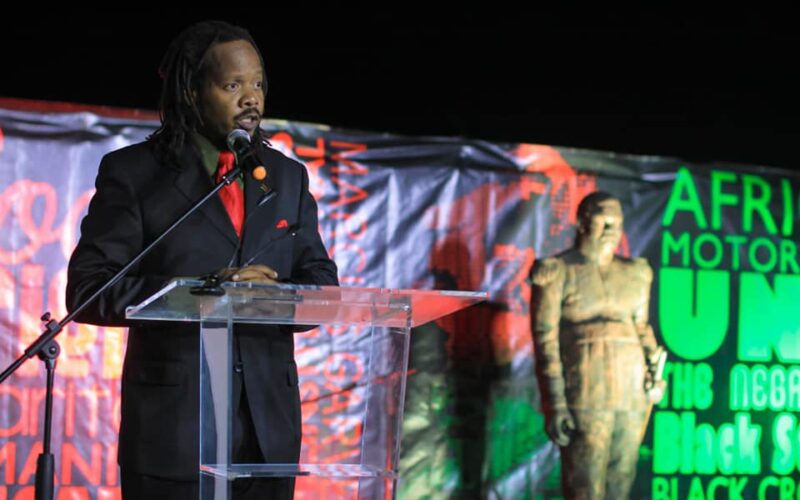 UNIA President says citizens must have say in who becomes Jamaica’s first president
