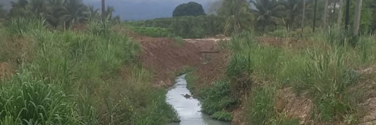 NEPA investigating yet another effluent spill into the Rio Cobre in St.Catherine