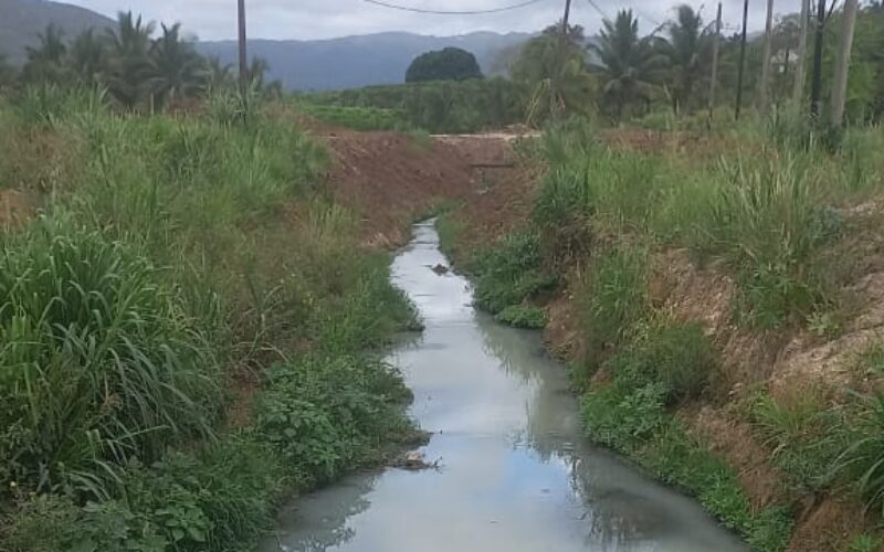 NEPA investigating yet another effluent spill into the Rio Cobre in St.Catherine