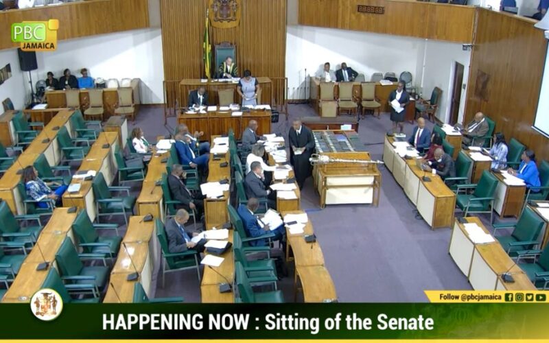Senate passes bill to change retirement age for DPP and AG despite objection from Opposition senators