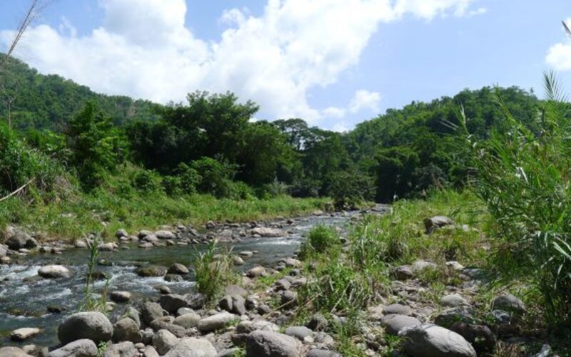 Body of man who was washed away in river in St Mary 2 weeks ago found today  