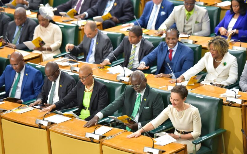 Government MPs express support for PM Holness amid resignation calls