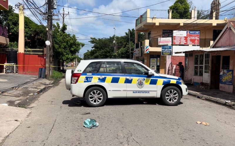 Two brothers fatally shot in Kingston