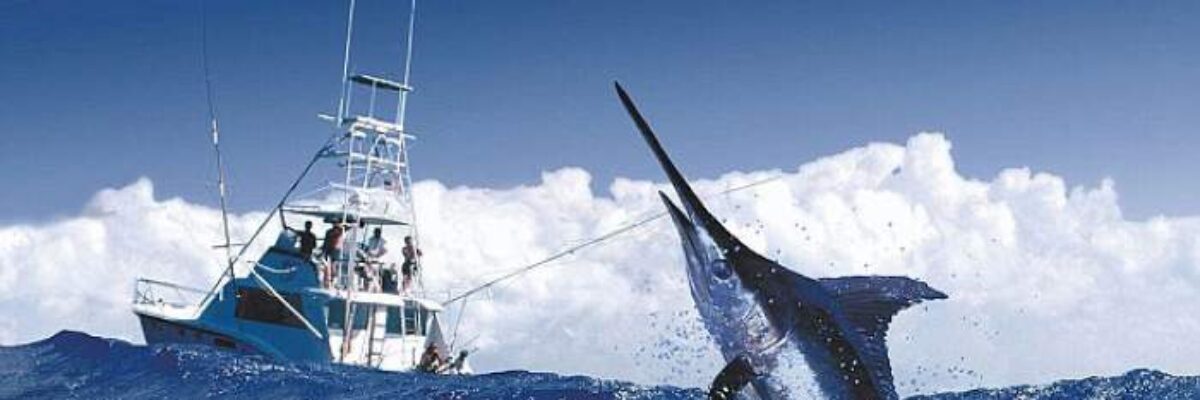 The Superstars of Port Antonio International Marlin tournament set for September 23 to 28 in Portland