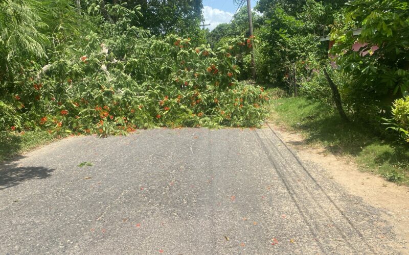 St. Elizabeth residents stage protest demanding restoration of electricity to their communities