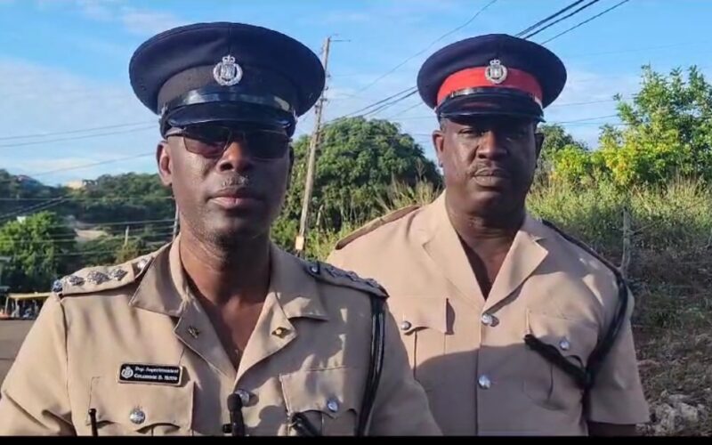 Two shot and killed in St Elizabeth attempted robbery
