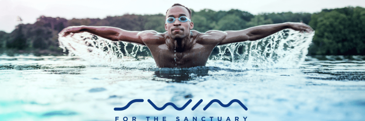 Third Jamaica Inn Foundation Open Water swim for the sanctuary meet set for November 11