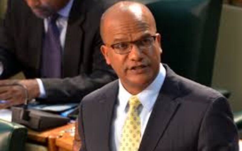 Opposition Senator Peter Bunting laments that Jamaica’s economy is being stifled by bureaucracy