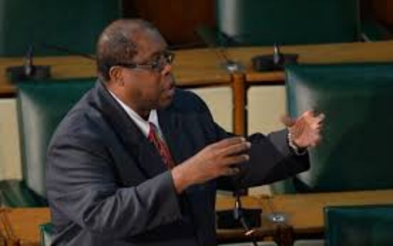 Senator Lambert Brown calls for government to address limited bed spaces at health facilities