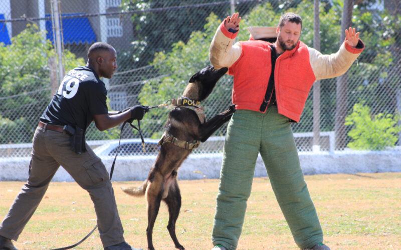 Security forces working to expand K-9 Units to better assist with operations