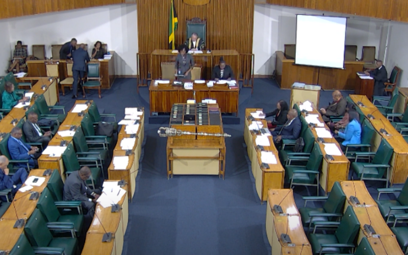 Senate passes bill for Electoral Commission to assume Political Ombudsman role, despite objections