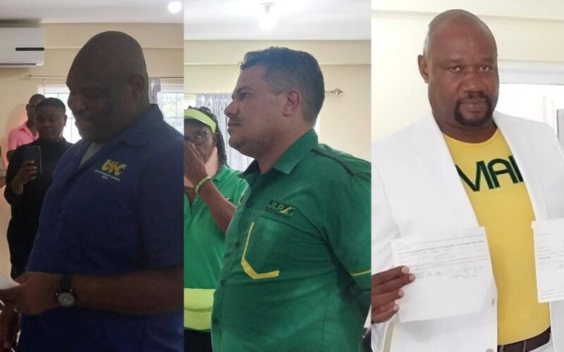 N.E St Ann candidates eager to represent the people in the upcoming by-election