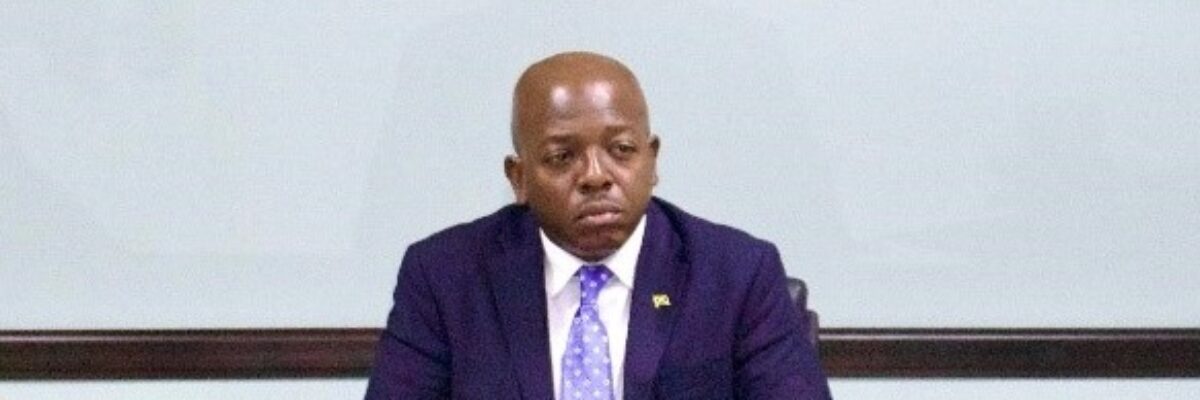 National Identification System (NIDS) would have made Hurricane Beryl response easier – Pearnel Charles Jr.