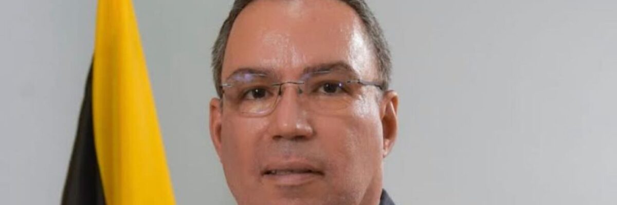 Energy Minister Daryl Vaz discusses burying power lines to mitigate natural disaster damage