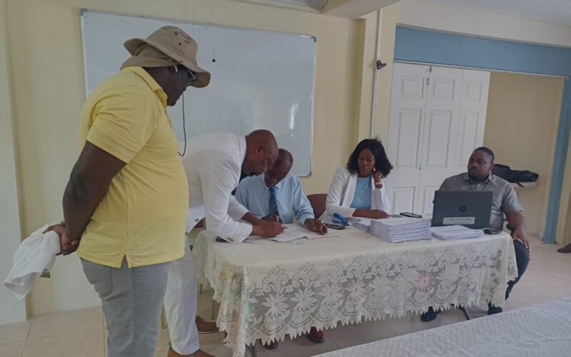 Independent candidate, David Anderson, nominated for St. Ann North Eastern by-election