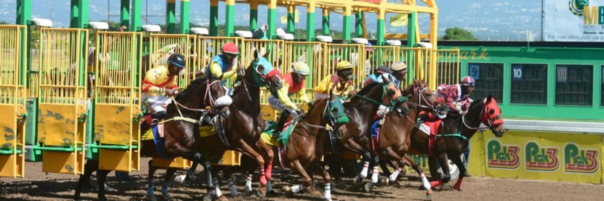The Jamaica Racing Commission to host Trainers and owners seminar next week