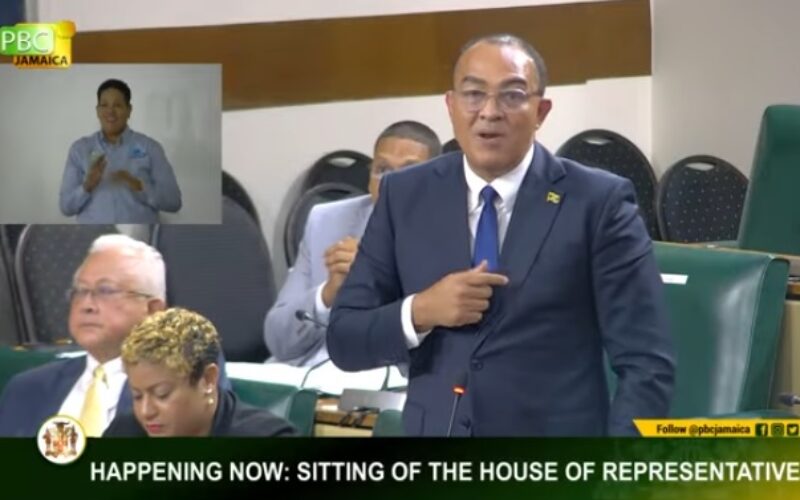 Health minister assures that Jamaica remains malaria free