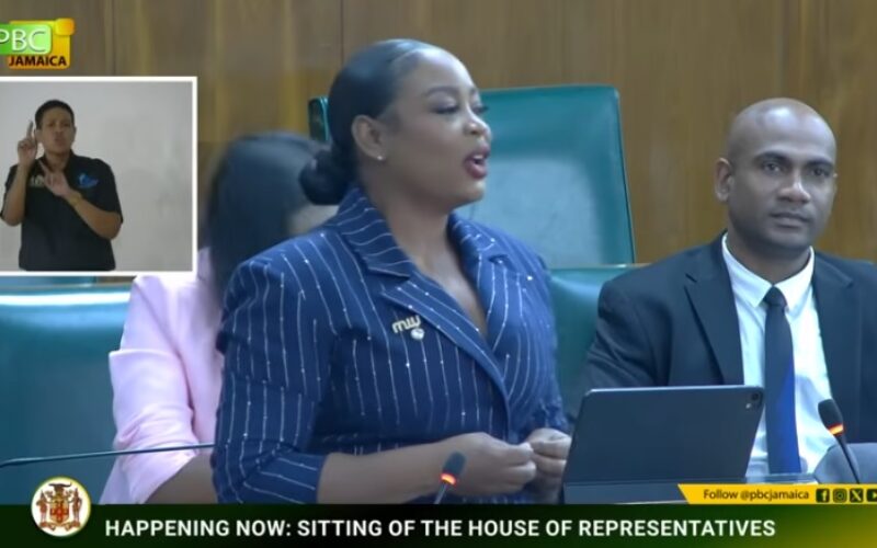 “Stop lock off the dance”: Burchell calls for overhaul of entertainment and creative economy framework