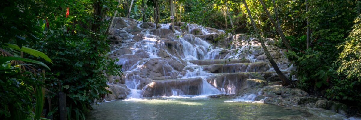 Dunn’s River Falls and Park earns 2026 TripAdvisor Travellers’ Choice Award; among top 10% of global attractions