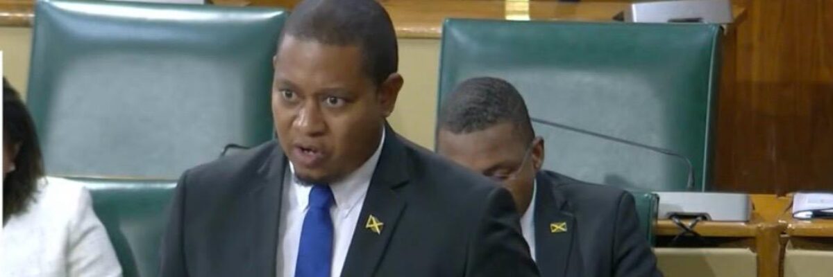 Mining Minister says over 300 land titles issued to residents relocated due to bauxite mining conducted by Alpart