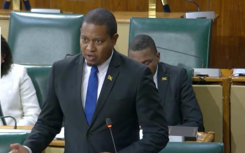 Mining Minister says over 300 land titles issued to residents relocated due to bauxite mining conducted by Alpart
