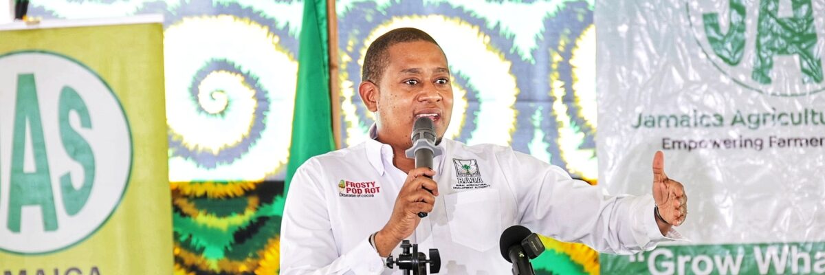 Agriculture Ministry rolling out series of measures to address growing backlog in cattle tagging