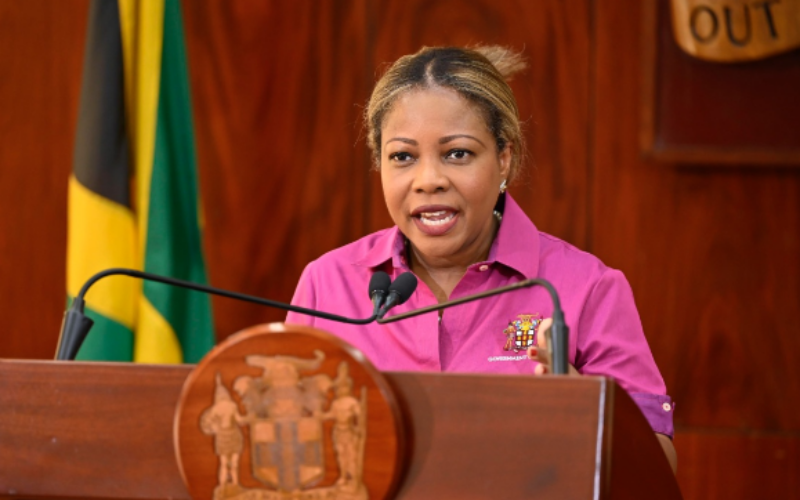 Cabinet issues directive cancelling Christmas parties for government entities