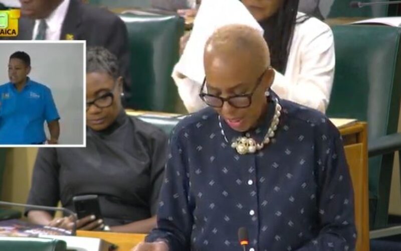 Govt seeks parliament’s approval to continue NHT withdrawals; Opp says it will not support it