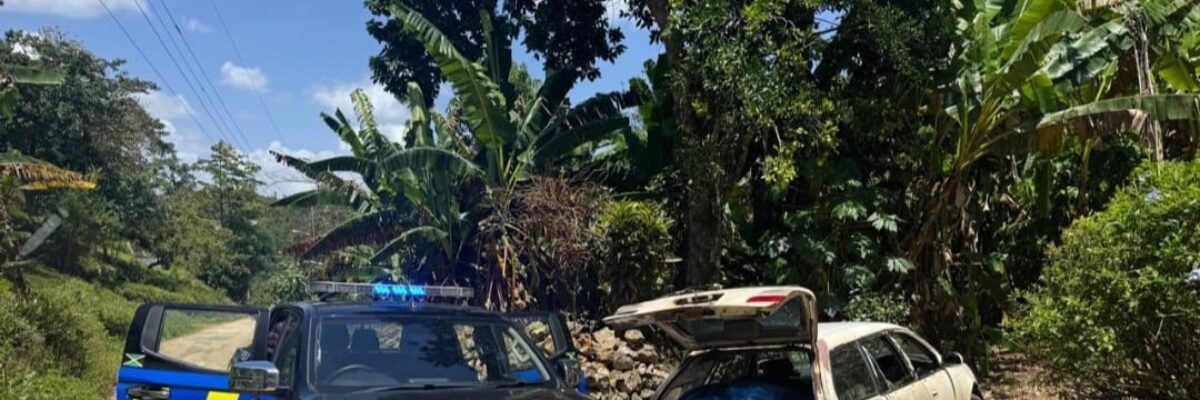 7 people were arrested for breaches of the National Animal Identification and Traceability System