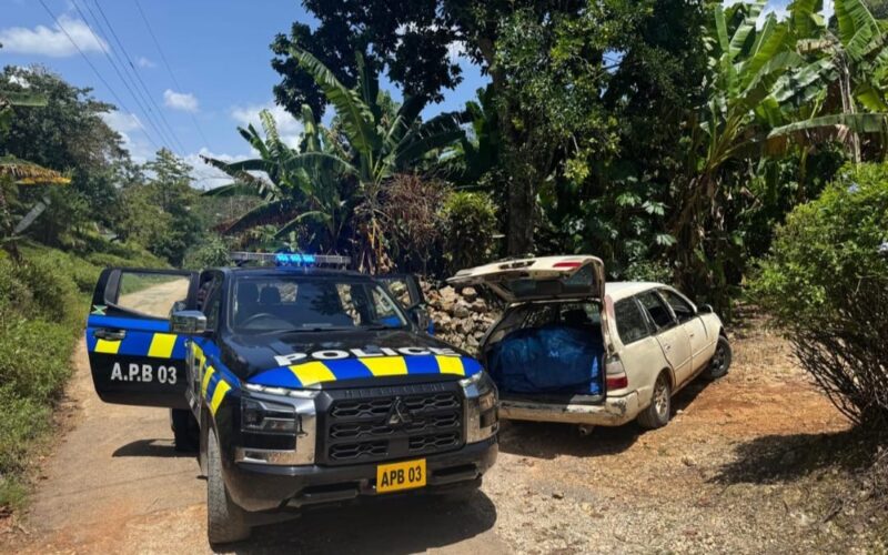 7 people were arrested for breaches of the National Animal Identification and Traceability System