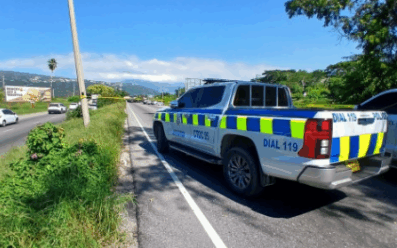 Three men fatally shot by police on Mandela Highway