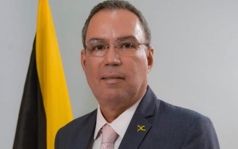 Energy Minister Daryl Vaz discusses burying power lines to mitigate natural disaster damage