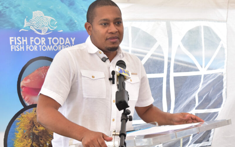 Jamaica and Japan collaborate on building marine research vessel