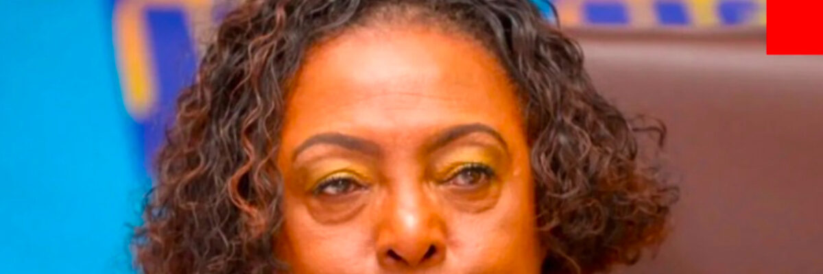 Minister Grange announces I Love Jamaica relief concert series