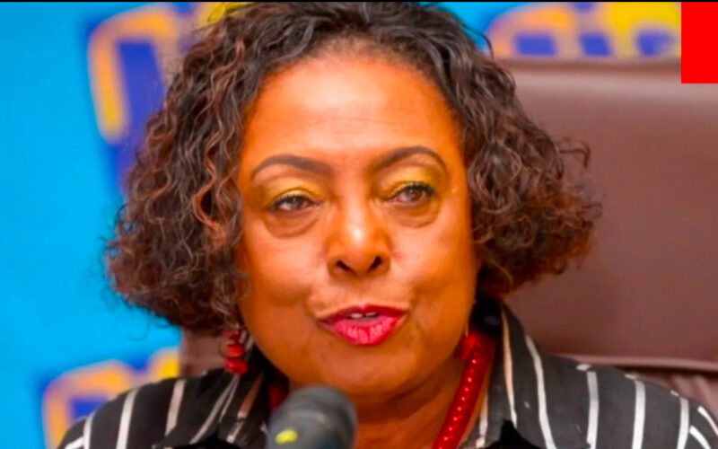 Minister Grange announces I Love Jamaica relief concert series