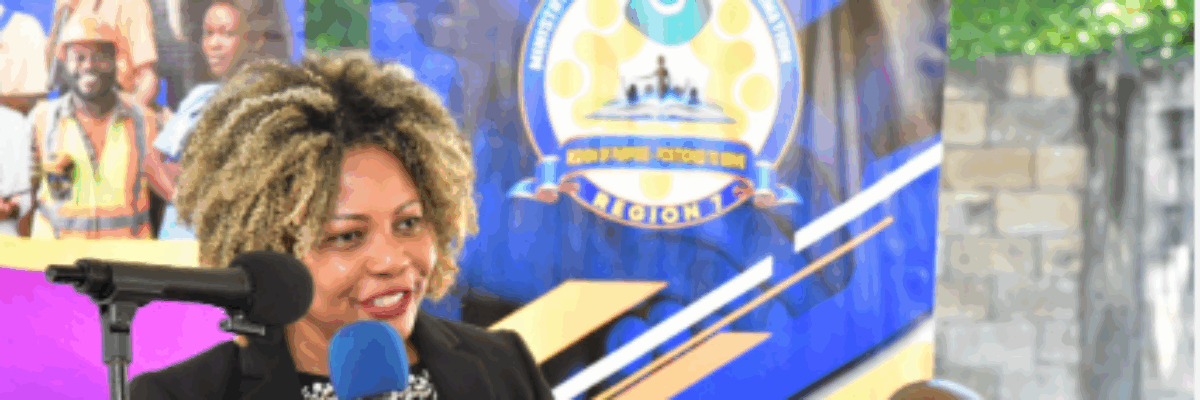 Education Ministry commits to deeper collaboration with Jamaica Independent Schools Association