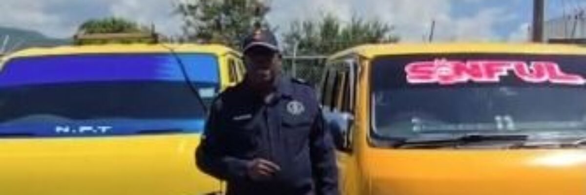 Police arrest 2 PPV operators captured on video driving recklessly