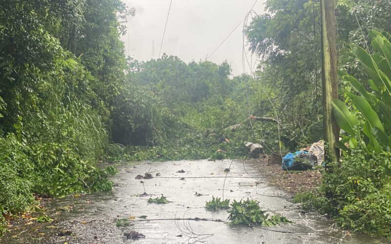 Partial or full access restored to all roadways in the western region; 30 roads  still blocked across the island