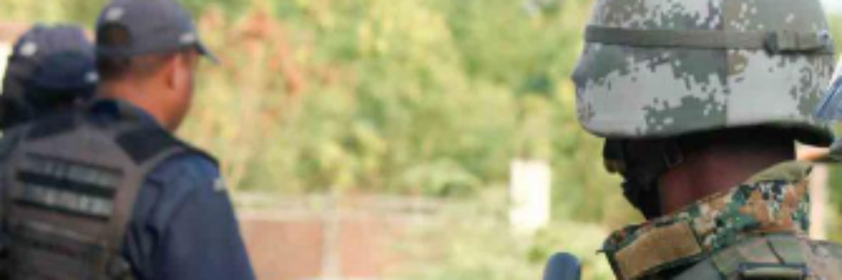 Four in custody after JDF seizes $45M worth of marijuana southwest of Long Bay Beach, Manchester