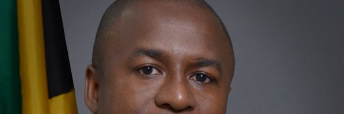 Western Westmoreland MP says political representatives working to discourage residents from resorting to protests