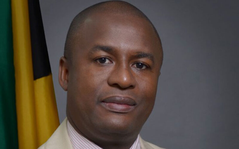 Western Westmoreland MP says political representatives working to discourage residents from resorting to protests