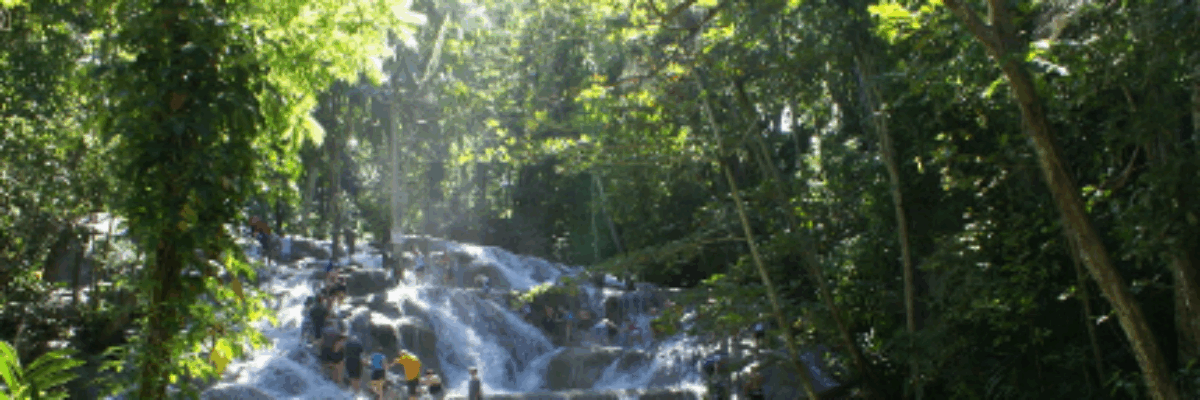 PNP demands release of Dunn’s River water quality data, calls for independent probe