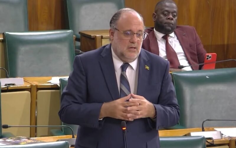 Opposition Leader Mark Golding raises concern over fatal-shooting of 11 men by the police within a 24-hour period