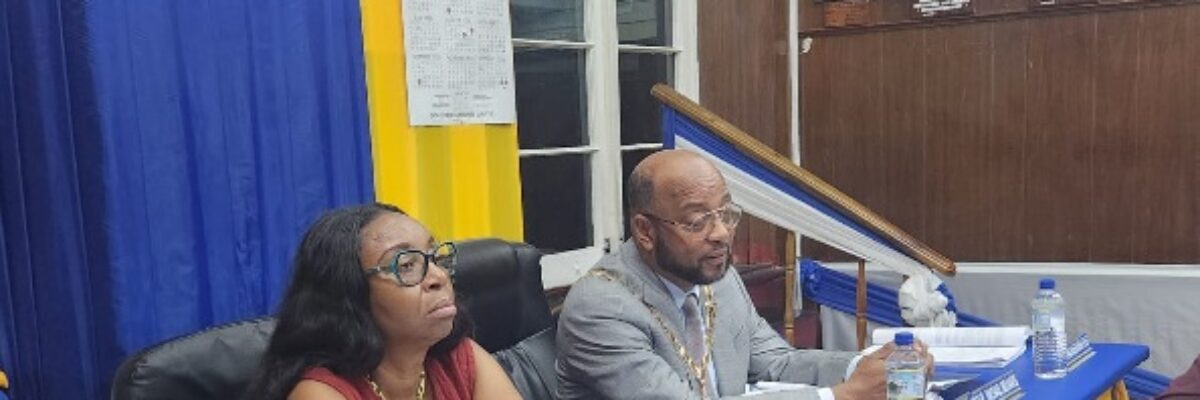 Mayor Belnavis notes need for solar panel installation regulatory framework