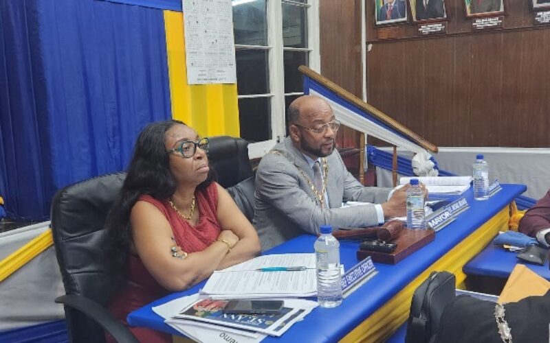 Mayor Belnavis notes need for solar panel installation regulatory framework
