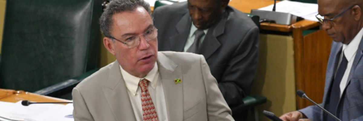 Energy Minister, Daryl Vaz reveals average Jamaican household pays extra $1,050 monthly due to electricity theft